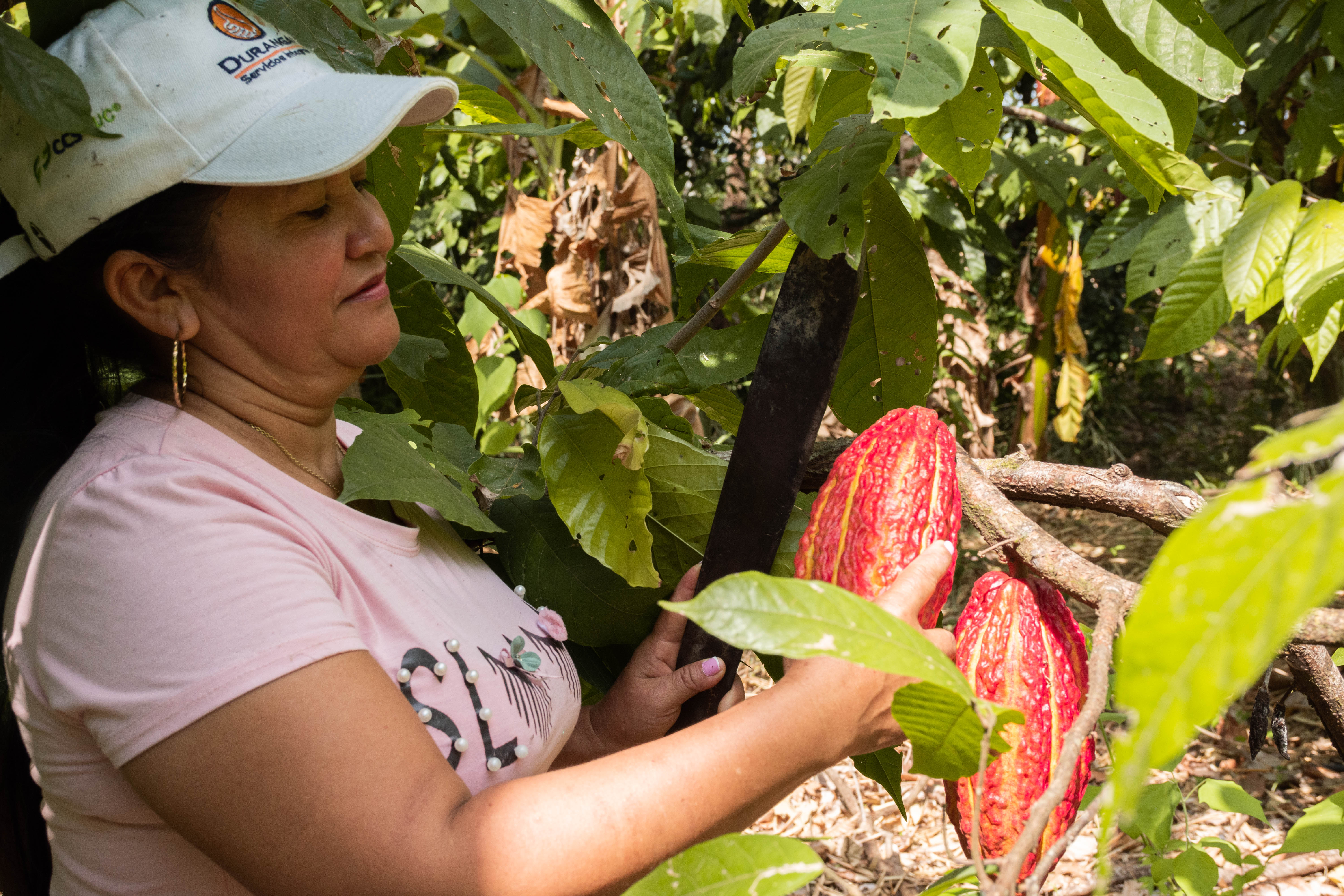 Equipo de personas trabajando en proyectos ambientales en una zona rural